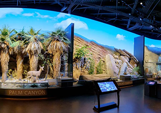 Agua Caliente Museum